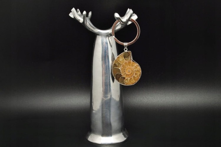 * AMONIT MADAGASKAR BRELOK BRELOCZEK JASNA BARWA SKAMIENIAŁOŚĆ NR 3 *