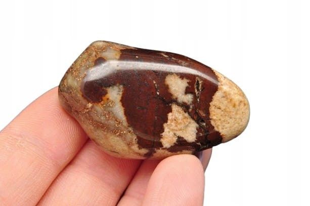 * JASPIS ZEBRA RPA ŚLICZNY WZÓR POLEROWANY SZLIFOWANY MINERAŁ NR 5 *
