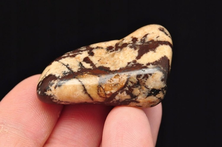 * JASPIS ZEBRA RPA ŚLICZNY POLER NATURALNY OKAZ BĘBNOWANY NR 6 *