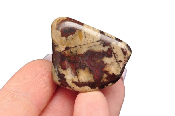 * JASPIS ZEBRA RPA NATURALNY KAMIEŃ JAKO PREZENT ŚLICZNY PRZEKRÓJ NR 11 *