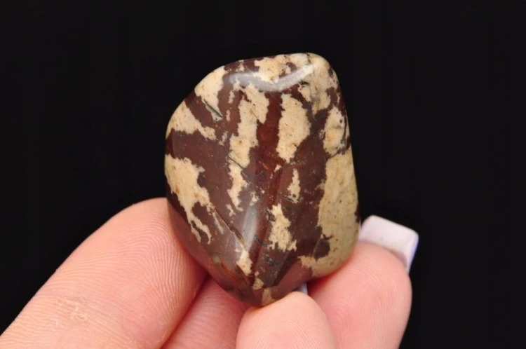 * JASPIS ZEBRA RPA NATURALNY KAMIEŃ JAKO PREZENT ŚLICZNY PRZEKRÓJ NR 11 *