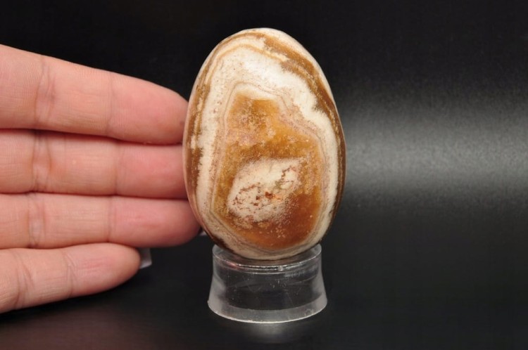 * ARAGONIT MAROKO ŚLICZNE JAJKO DOSKONAŁE JAKO PREZENT OKAZ NR EGG100 *