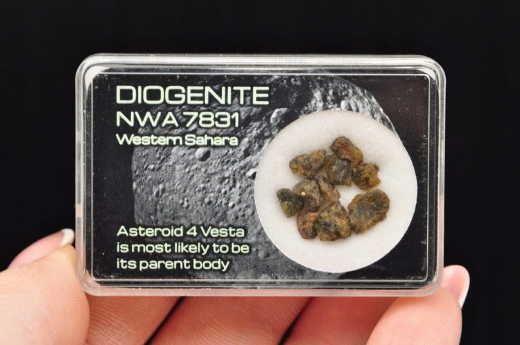 * METEORYT NWA 7831 DOGENITE WESTERN SAHARA CUDOWNE OKAZY DO KOLEKCJI NR 5