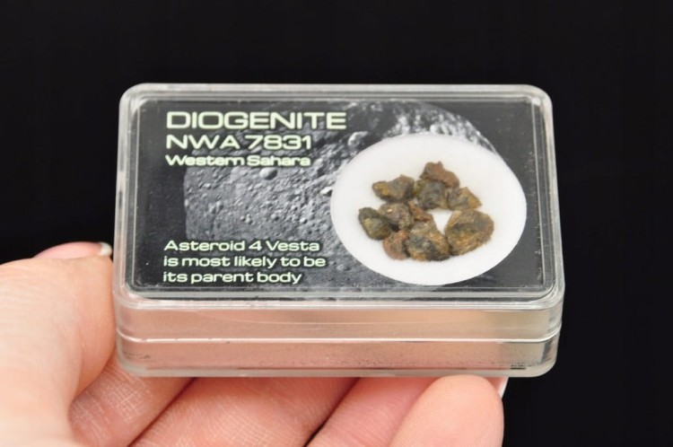 * METEORYT NWA 7831 DOGENITE WESTERN SAHARA CUDOWNE OKAZY DO KOLEKCJI NR 5