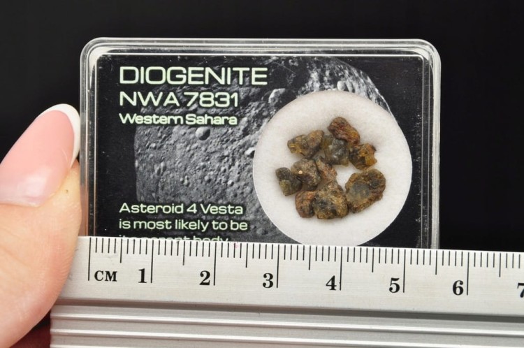 * METEORYT NWA 7831 DOGENITE WESTERN SAHARA CUDOWNE OKAZY DO KOLEKCJI NR 5