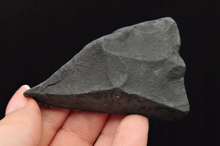 * SZUNGIT Z PIRYTEM BRAZYLIA ZJAWISKOWY MINERAŁ IDEALNY DO KOLEKCJI NR 8 *