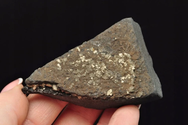 * SZUNGIT Z PIRYTEM BRAZYLIA ZJAWISKOWY MINERAŁ IDEALNY DO KOLEKCJI NR 8 *
