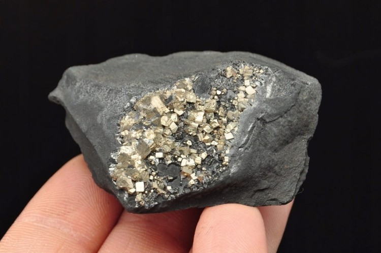 * SZUNGIT Z PIRYTEM BRAZYLIA NATURALNY MINERAŁ PIĘKNE ZŁOTE KRYSZTAŁY NR 1