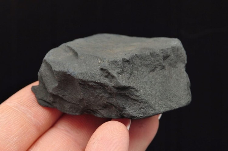 * SZUNGIT Z PIRYTEM BRAZYLIA NATURALNY MINERAŁ PIĘKNE ZŁOTE KRYSZTAŁY NR 1
