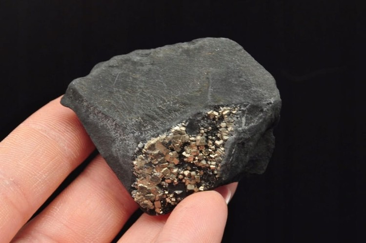 * SZUNGIT Z PIRYTEM BRAZYLIA NATURALNY MINERAŁ PIĘKNE ZŁOTE KRYSZTAŁY NR 1