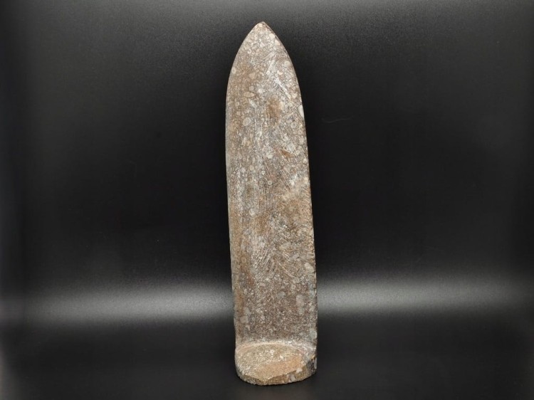 * ORTHOCERAS W SKALE INTERESUJĄCY SZLIFOWANY OKAZ SKAMIENIAŁOŚĆ NR 3 *