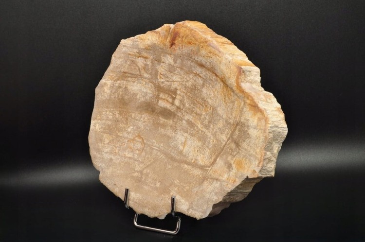 * SKAMIENIAŁE DREWNO INDONEZJA MISKA JASNY KOLOR DOSKONAŁA JAKO OZDOBA NR 3