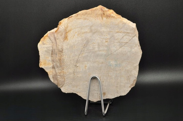 * SKAMIENIAŁE DREWNO INDONEZJA MISKA JASNY KOLOR DOSKONAŁA JAKO OZDOBA NR 3