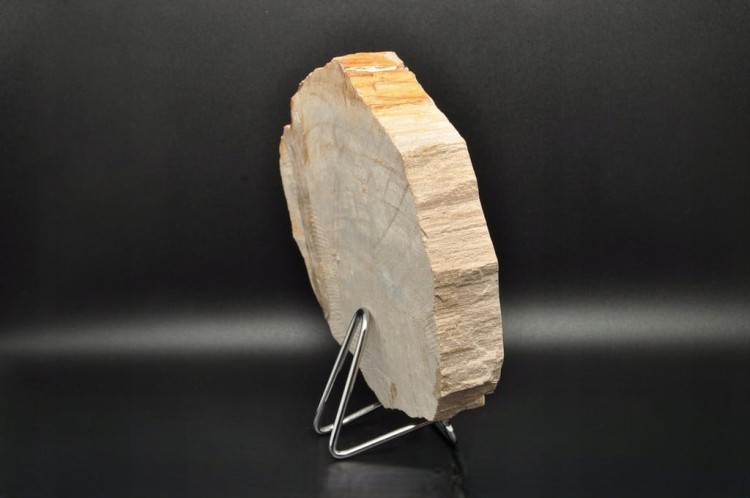 * SKAMIENIAŁE DREWNO INDONEZJA MISKA JASNY KOLOR DOSKONAŁA JAKO OZDOBA NR 3