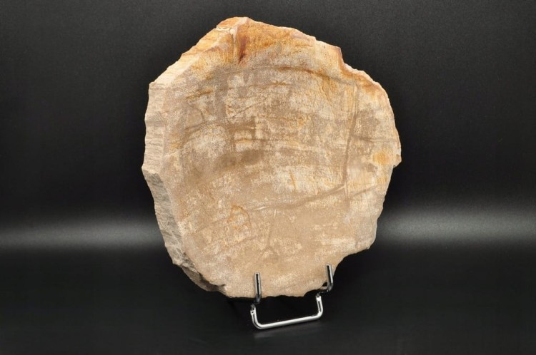 * SKAMIENIAŁE DREWNO INDONEZJA MISKA JASNY KOLOR DOSKONAŁA JAKO OZDOBA NR 3