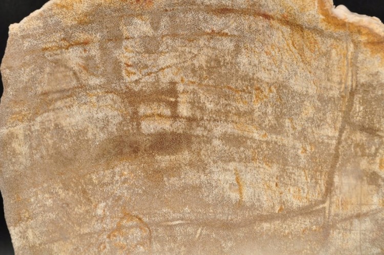 * SKAMIENIAŁE DREWNO INDONEZJA MISKA JASNY KOLOR DOSKONAŁA JAKO OZDOBA NR 3