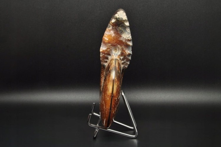 * AMONIT MADAGASKAR CAŁA SKAMIENIAŁOŚĆ DOSKONAŁA DO KOLEKCJI NR 1 *