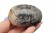 * KAMIEŃ KSIĘŻYCOWY MOONSTONE CIEMNA BARWA FANTASTYCZNY BŁYSK NR GKKS03