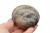 * KAMIEŃ KSIĘŻYCOWY MOONSTONE UROCZY MINERAŁ BŁYSZCZĄCY MINERAŁ NR GKKS01 *