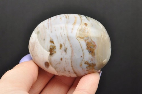 * JASPIS ORBIKULARNY OCEANICZNY KAMIEŃ NATURALNY INTERESUJĄCY WZÓR NR 5 *