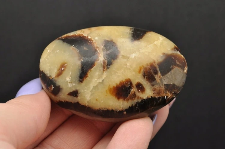* SEPTARIA MADAGASKAR NATURALNY KAMIEŃ INTERESUJĄCY KSZTAŁT OKAZ NR GS03