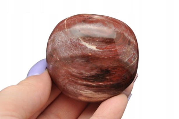 * SKAMIENIAŁE DREWNO MADAGASKAR NATURALNY MINERAŁ ŁADNY POLER NR GSD01 *