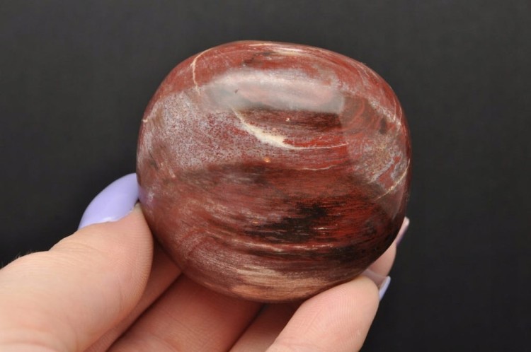 * SKAMIENIAŁE DREWNO MADAGASKAR NATURALNY MINERAŁ ŁADNY POLER NR GSD01 *