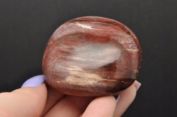 * SKAMIENIAŁE DREWNO MADAGASKAR NATURALNY MINERAŁ ŁADNY POLER NR GSD01 *