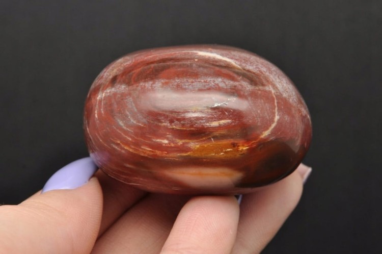 * SKAMIENIAŁE DREWNO MADAGASKAR NATURALNY MINERAŁ ŁADNY POLER NR GSD01 *