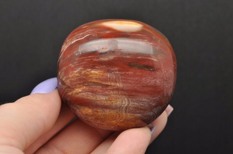 * SKAMIENIAŁE DREWNO MADAGASKAR NATURALNY MINERAŁ ŁADNY POLER NR GSD01 *