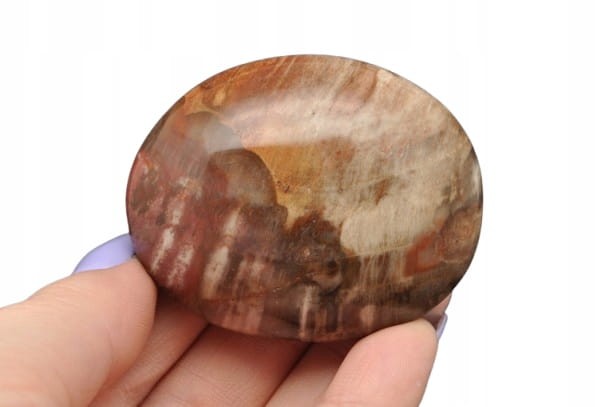 * SKAMIENIAŁE DREWNO MADAGASKAR SZLIFOWANY POLEROWANY OKAZ NR GSD04 *