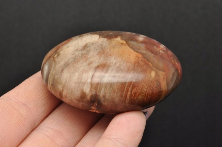 * SKAMIENIAŁE DREWNO MADAGASKAR SZLIFOWANY POLEROWANY OKAZ NR GSD04 *