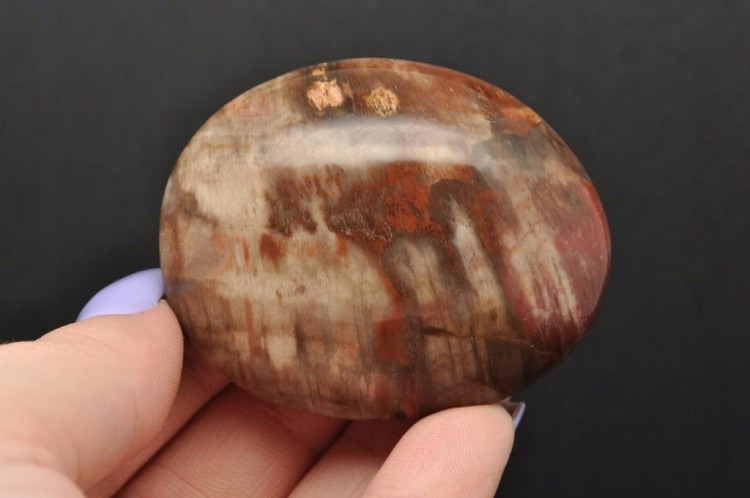 * SKAMIENIAŁE DREWNO MADAGASKAR SZLIFOWANY POLEROWANY OKAZ NR GSD04 *