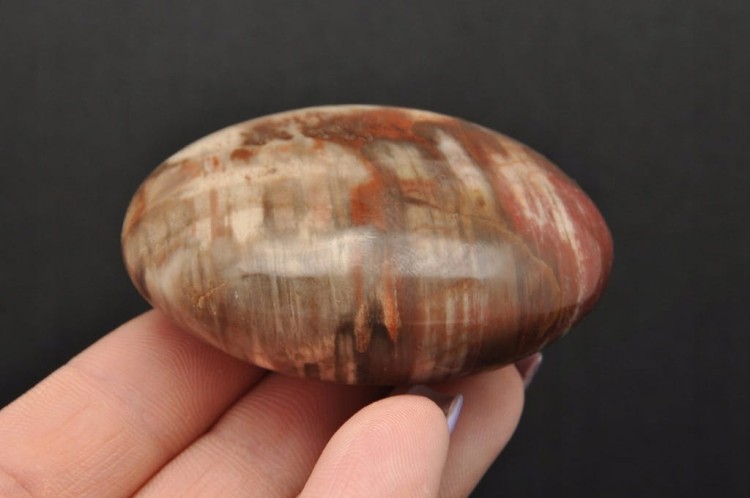 * SKAMIENIAŁE DREWNO MADAGASKAR SZLIFOWANY POLEROWANY OKAZ NR GSD04 *