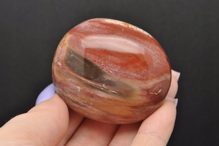 * SKAMIENIAŁE DREWNO MADAGASKAR KAMIEŃ FANTASTYCZNY PRZEKRÓJ NR GSD06 *