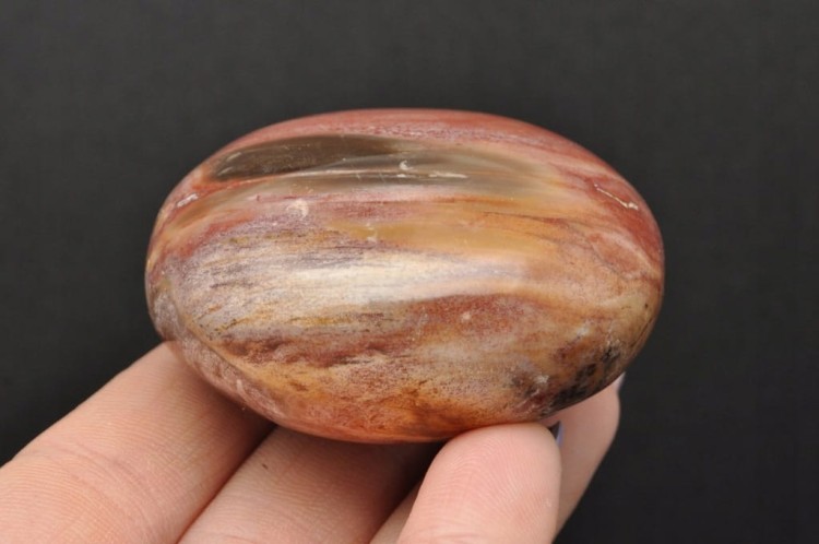 * SKAMIENIAŁE DREWNO MADAGASKAR KAMIEŃ FANTASTYCZNY PRZEKRÓJ NR GSD06 *