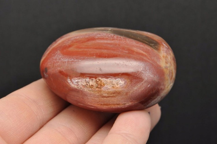 * SKAMIENIAŁE DREWNO MADAGASKAR KAMIEŃ FANTASTYCZNY PRZEKRÓJ NR GSD06 *