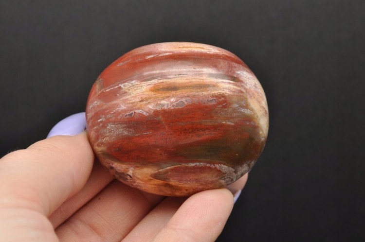 * SKAMIENIAŁE DREWNO MADAGASKAR KAMIEŃ FANTASTYCZNY PRZEKRÓJ NR GSD06 *