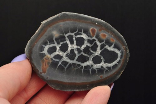 * SEPTARIA SMOCZY KAMIEŃ MAROKO NATURALNY MINERAŁ PIĘKNIE ZACHOWANY NR 9B *