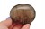 * KWARC DYMNY MADAGASKAR NATURALNY MINERAŁ PALM STONE PIĘKNA TĘCZA NR GKD09