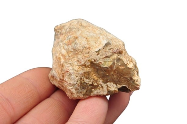 * SKAMIENIAŁE DREWNO PIENIEK BARDZO DOBRA JAKOŚĆ OKAZ NR DPI06 *