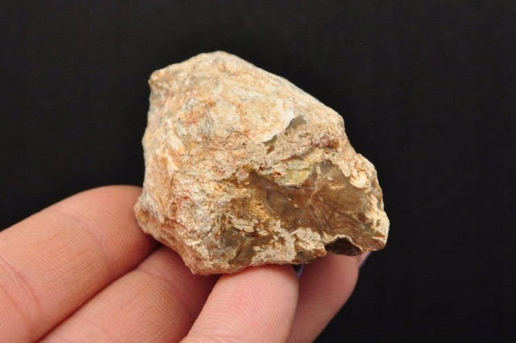 * SKAMIENIAŁE DREWNO PIENIEK BARDZO DOBRA JAKOŚĆ OKAZ NR DPI06 *