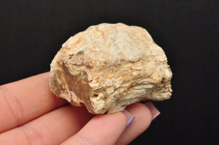 * SKAMIENIAŁE DREWNO PIENIEK BARDZO DOBRA JAKOŚĆ OKAZ NR DPI06 *