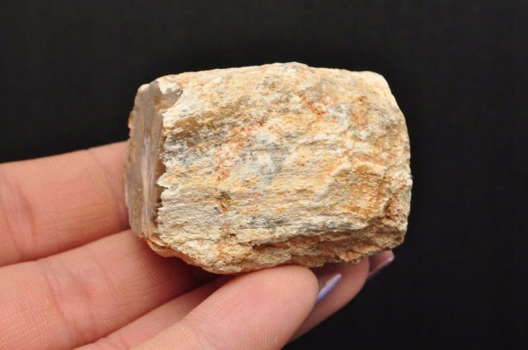 * SKAMIENIAŁE DREWNO PIENIEK BARDZO DOBRA JAKOŚĆ OKAZ NR DPI06 *