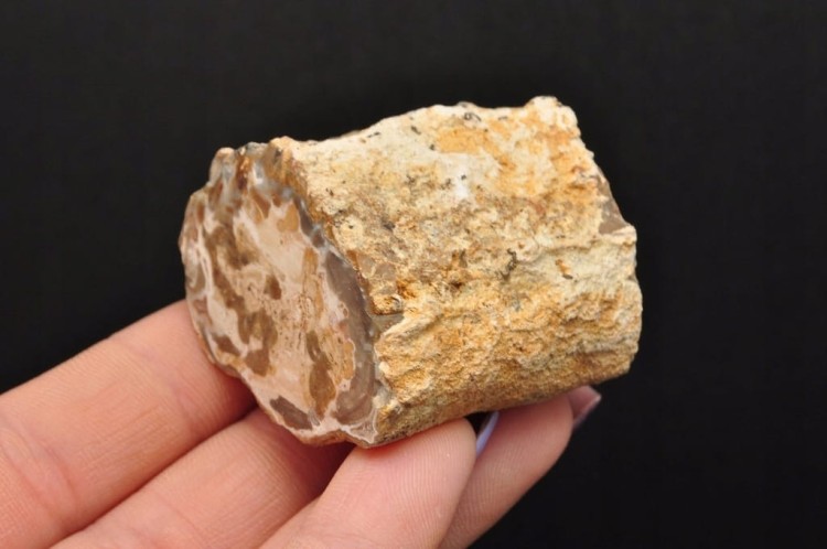 * SKAMIENIAŁE DREWNO PIENIEK IDEALNY OKAZ DO KOLEKCJI SUROWY NR DPI08 *