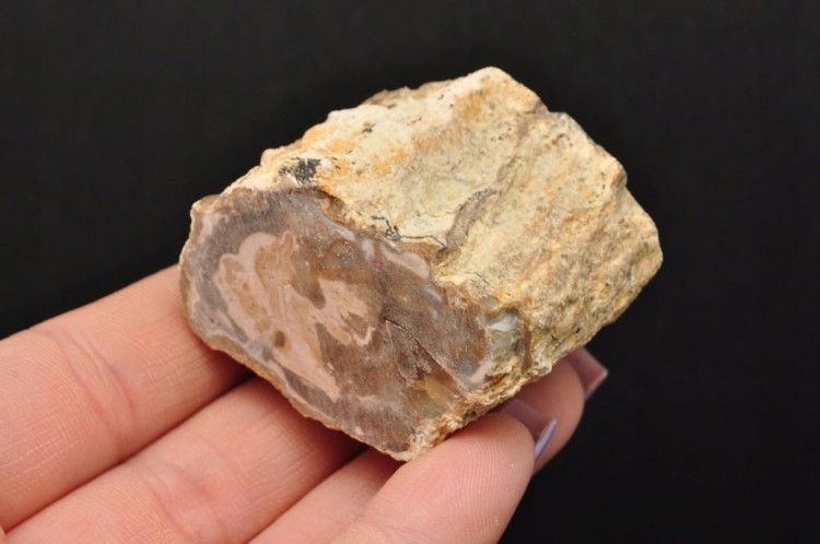 * SKAMIENIAŁE DREWNO PIENIEK IDEALNY OKAZ DO KOLEKCJI SUROWY NR DPI08 *