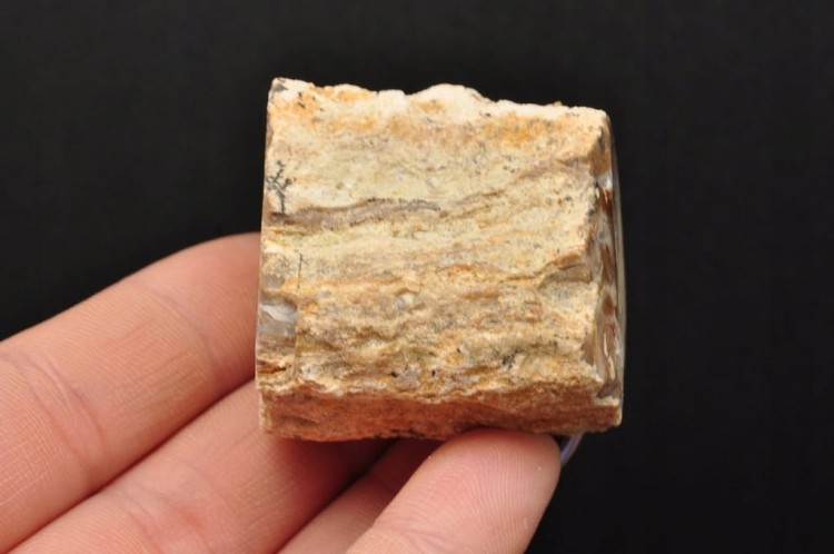 * SKAMIENIAŁE DREWNO PIENIEK IDEALNY OKAZ DO KOLEKCJI SUROWY NR DPI08 *