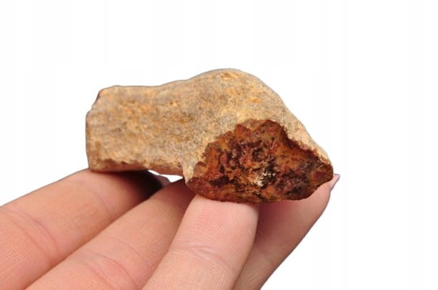 * SKAMIENIAŁE DREWNO PIENIEK WYJĄTKOWY KAMIEŃ JAKO OZDOBA NR DPI10 *