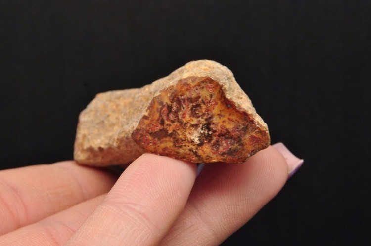 * SKAMIENIAŁE DREWNO PIENIEK WYJĄTKOWY KAMIEŃ JAKO OZDOBA NR DPI10 *