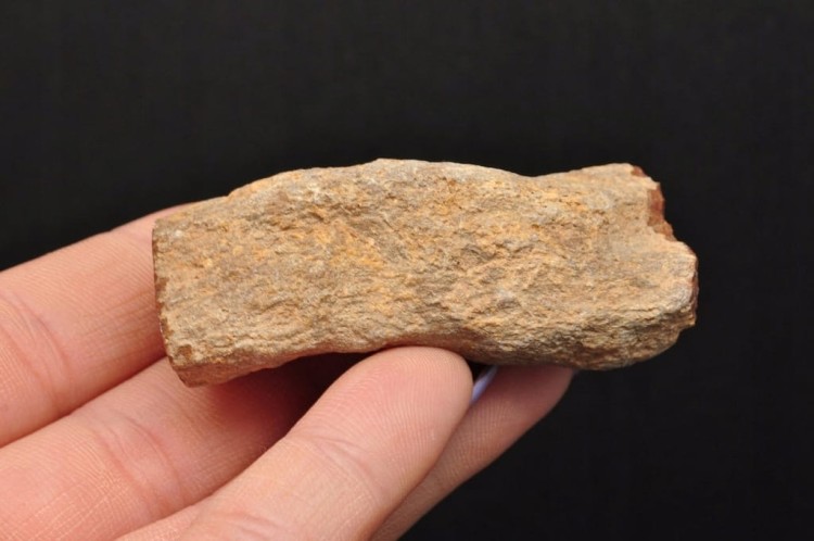 * SKAMIENIAŁE DREWNO PIENIEK WYJĄTKOWY KAMIEŃ JAKO OZDOBA NR DPI10 *